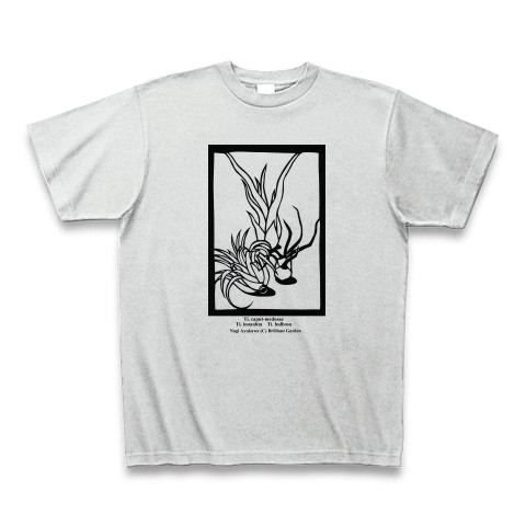 チランジア(エアープランツ)3種切り絵 Tシャツ(アッシュ):エアープランツと呼ばれている土がいらない南米の不思議な植物「チランジア」の中から一般的な種類イオナンタ、カプトメデューサエ、ブルボーサの3点を切り絵にしました。チランジアをいつも一緒に身に着けてはいかがでしょうか。 by Brilliant Garden:熱帯魚などモチーフにしたグッズをご提供しています。