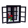 Window Window