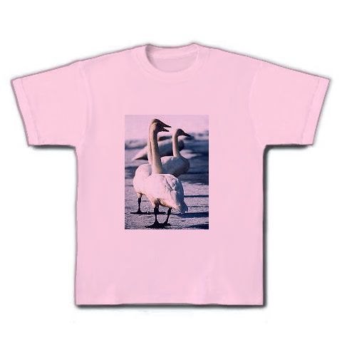 白鳥｜Tシャツ｜ライトピンク