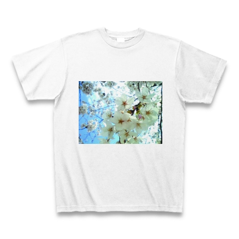 桜の花｜Tシャツ｜ホワイト