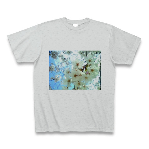 桜の花｜Tシャツ｜グレー