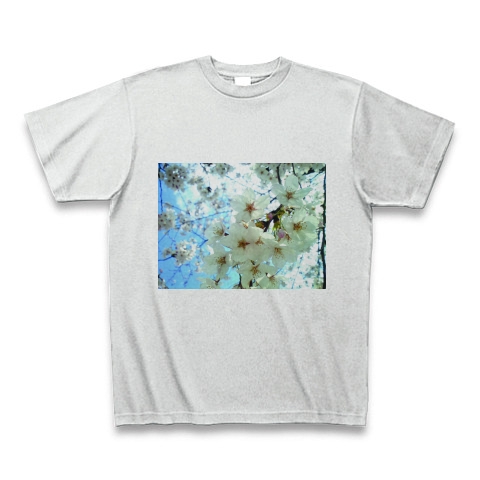 桜の花｜Tシャツ｜アッシュ