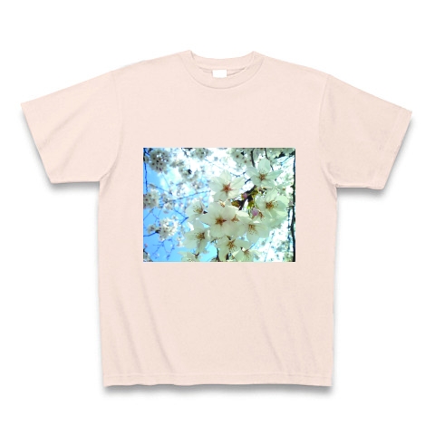 桜の花｜Tシャツ Pure Color Print｜ライトピンク
