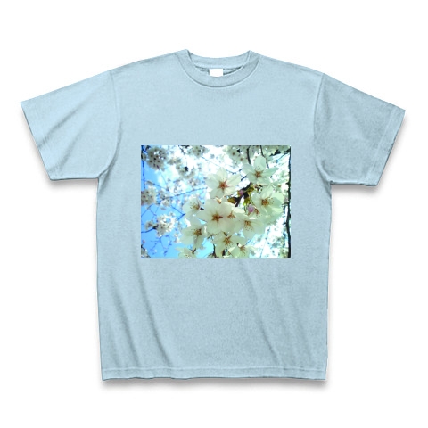 桜の花｜Tシャツ Pure Color Print｜ライトブルー