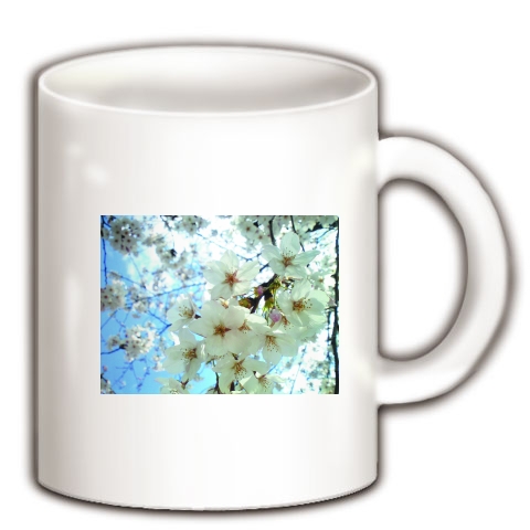 桜の花｜マグカップ｜ホワイト