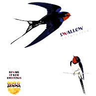 Swallows 0539 ツバメは燕尾でスワロウテイル Tシャツ