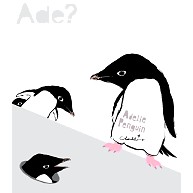 Ade 0565 おかしなおかしなアデリーペンギン