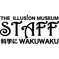 The illusion museum