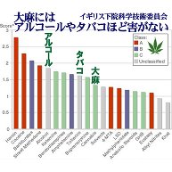 商品詳細 大麻にはアルコールやタバコほど害はない Tシャツ ホワイト デザインtシャツ通販clubt