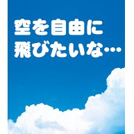 商品詳細 ホッとしたい やすらぎたい そんな癒し系のポエム風グッズです ココロの空シリーズ 空を自由に飛びたいな Tシャツ バーガンディ デザインtシャツ通販clubt