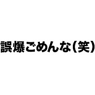 商品詳細 おもしろネタtシャツ 意外と 素直に謝るアノニマス アピールシリーズ 誤爆ごめんな 笑 Tシャツ ナチュラル デザインtシャツ通販clubt