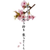 商品詳細 散る桜残る桜も散る桜 Tシャツ ホワイト デザインtシャツ通販clubt
