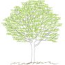 greens(strasbourg,) greens(strasbourg,)
