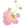 Charm strawberry(strasbourg,) Charm strawberry(strasbourg,)