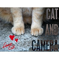 猫とカメラ「前足」