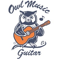 商品詳細 フクロウ 梟 ふくろう ギター Tシャツ Owl アイテム イラスト グラフィック 小型フクロウ 不苦労 知恵の象徴 幸運 楽器 音楽 演奏 ミュージック Music ミミズク 猛禽類 ペット レディースtシャツ グレー デザインtシャツ通販clubt