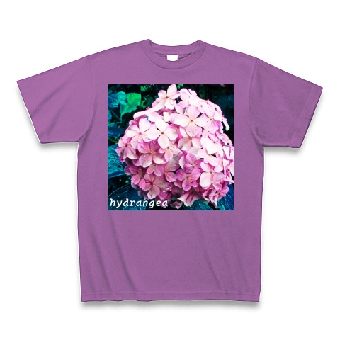 紫陽花２｜Tシャツ Pure Color Print｜ラベンダー