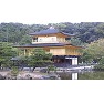 金閣寺ー片面プリント 金閣寺ー片面プリント
