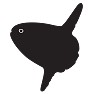 マンボウ-黒.ー片面プリント マンボウ-黒.ー片面プリント
