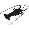伊勢海老 - 黒ー両面プリント 伊勢海老 - 黒ー両面プリント