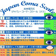 ジャパンコーマスケールjcs2デザインの全アイテム