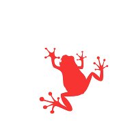 frog(red)