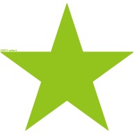 Star (lime)｜Tシャツ Pure Color Print｜グリーン