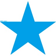 Star (sky)｜Tシャツ Pure Color Print｜ロイヤルブルー