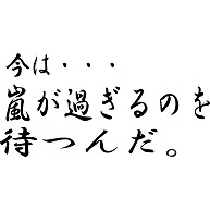 商品詳細 今は嵐が過ぎるのを待つ Tシャツ ディープグリーン デザインtシャツ通販clubt