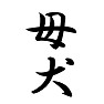 母犬 母犬