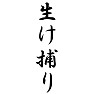 生け捕り 生け捕り
