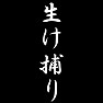 生け捕り 生け捕り