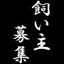 飼い主募集 飼い主募集
