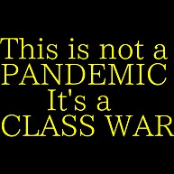 This is not a PANDEMIC. It’s a CLASS WAR.