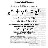 商品詳細 数学tシャツ フェルマーの最終定理 オイラー アンドリュー ワイルズ 学問 数字 数式 両面 ラグランtシャツ ホワイト ブラック デザインtシャツ通販clubt