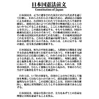 商品詳細 日本国憲法前文 微修正版 黒 国民主権 基本的人権の尊重 平和主義 Tシャツ ラベンダー デザインtシャツ通販clubt