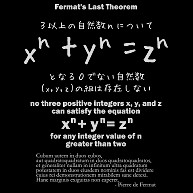 商品詳細 フェルマーの最終定理 数式 オイラー アンドリュー ワイルズ 学問 数字 数学 Tシャツ Pure Color Print レッド デザインtシャツ通販clubt