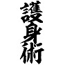 護身術 護身術