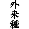 外来種 外来種