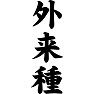 外来種 外来種