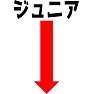ジュニア ジュニア