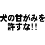 犬の甘がみを許すな!! 犬の甘がみを許すな!!