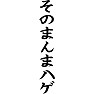 そのまんまハゲ そのまんまハゲ