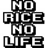 NO RACE NO LIFE NO RACE NO LIFE
