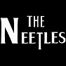 THE・NEETLES(白文字,黒縁) THE・NEETLES(白文字,黒縁)