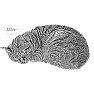 版画風 お眠り猫 版画風 お眠り猫