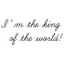 タイタニックの名セリフ「I’m the king of the world!」 タイタニックの名セリフ「I’m the king of the world!」