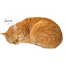 水彩画風 眠りねこ 水彩画風 眠りねこ