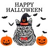 「HAPPY HALLOWEEN」 ハロウィンキャット 「HAPPY HALLOWEEN」 ハロウィンキャット