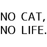 NO CAT, NO LIFE. NO CAT, NO LIFE.